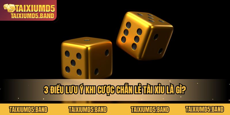 3 điều lưu ý quan trọng khi cược chẵn lẻ tài xỉu là gì?