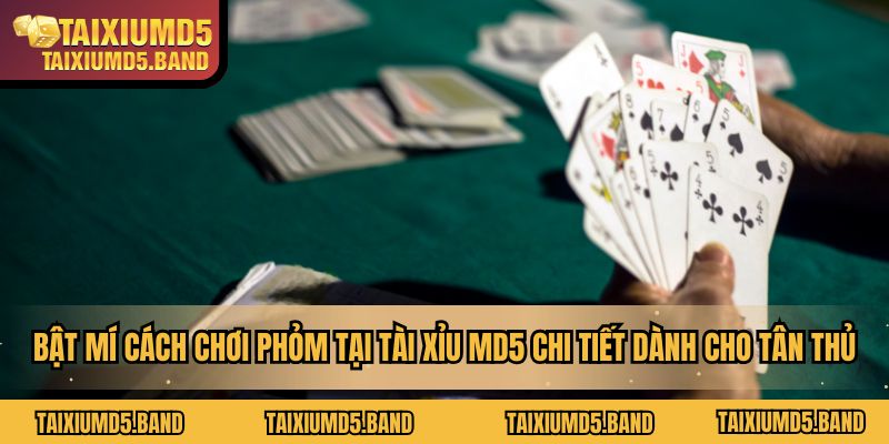 Kinh nghiệm chơi Phỏm dễ thắng từ các cao thủ lâu năm