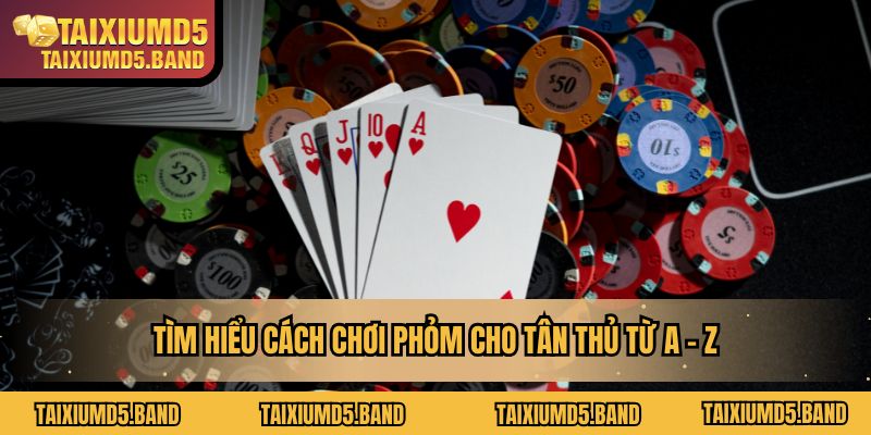 Tìm hiểu các nét cơ bản của game bài Phỏm
