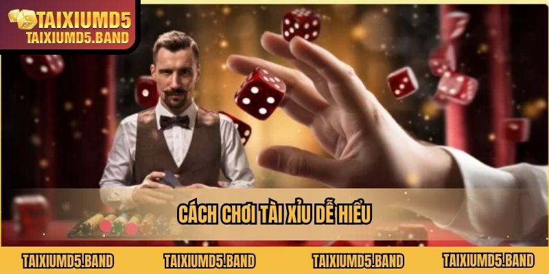 Cách chơi Tài Xỉu dễ hiểu