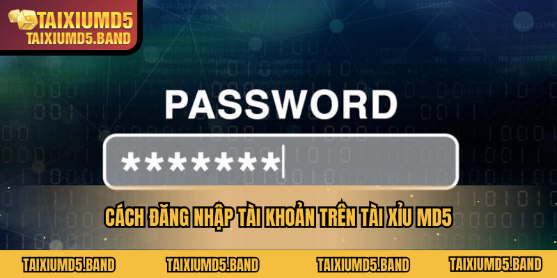 Cách đăng nhập tài khoản trên Tài xỉu MD5