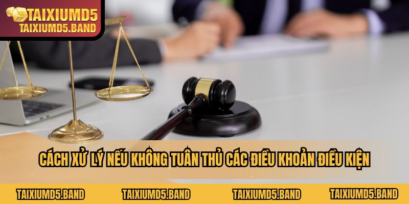 Cách xử lý nếu không tuân thủ các điều khoản điều kiện