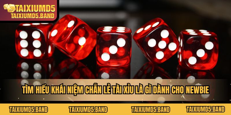 chan-le-tai-xiu-la-gi