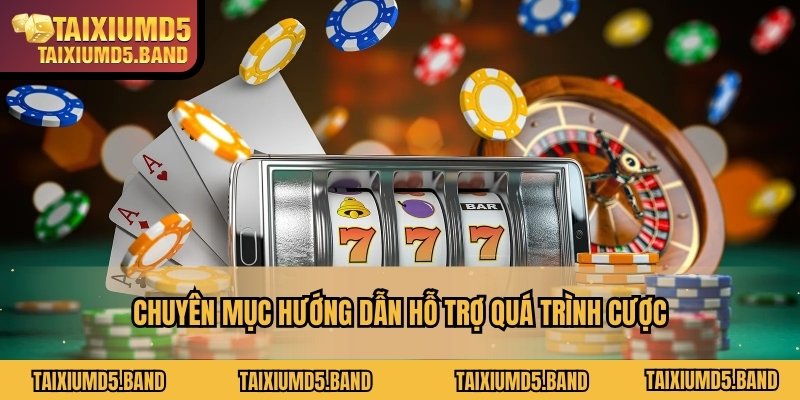 Chuyên mục hướng dẫn hỗ trợ quá trình cược
