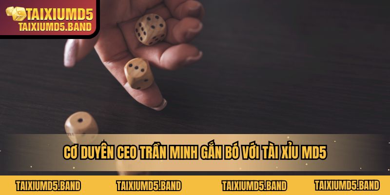 Cơ duyên CEO Trần Minh gắn bó với Tài Xỉu MD5
