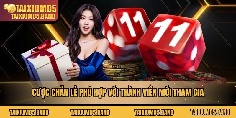 Cược chẵn lẻ phù hợp với thành viên mới tham gia