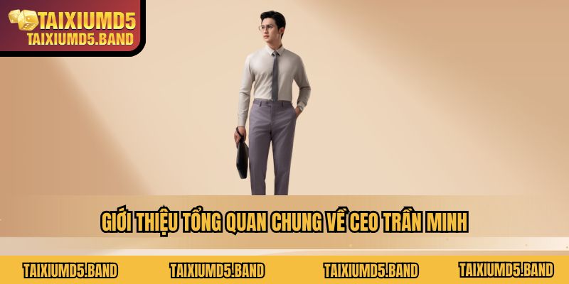 Giới thiệu tổng quan chung về CEO Trần Minh