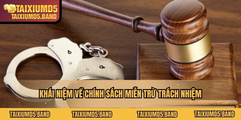Khái niệm về chính sách miễn trừ trách nhiệm