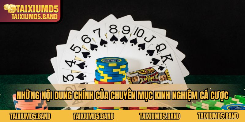 Những trách nhiệm hội viên cần cân nhắc