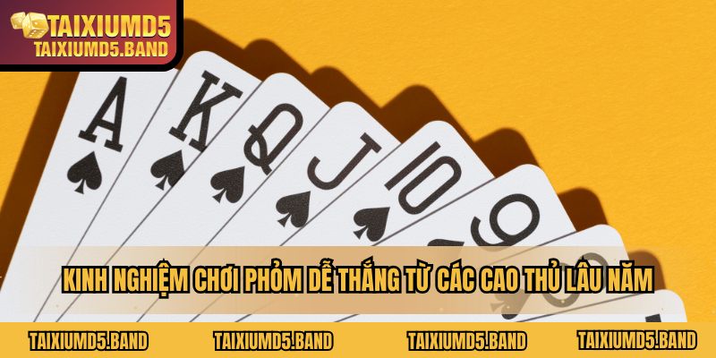 kinh-nghiem-choi-phom-de-thang-tu-cac-cao-thu-lau-nam