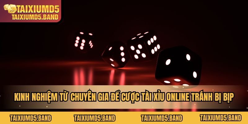 Kinh nghiệm hữu ích từ chuyên gia để cược tài xỉu online tránh bị bịp