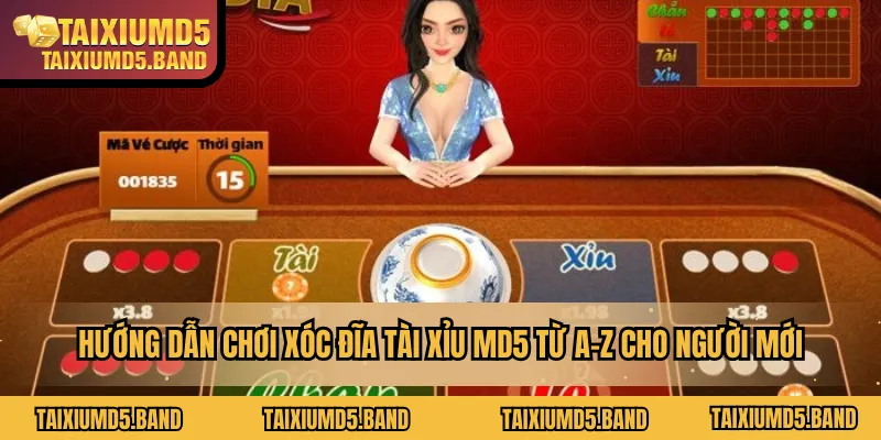 Mỗi loại cầu đều có đặc điểm riêng cần được nhận diện đúng