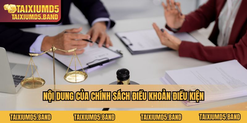 Nội dung chi tiết của chính sách điều khoản điều kiện của nhà cái