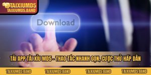 tai-xiu-md5-thao-tac