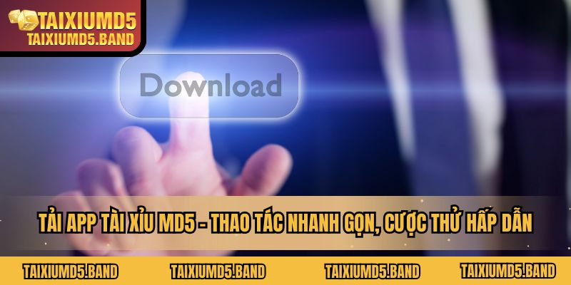 tai-xiu-md5-thao-tac