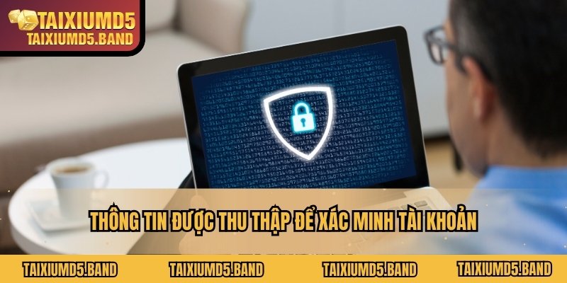 Thông tin được thu thập để xác minh tài khoản