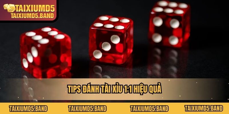 Tips đánh Tài Xỉu 1:1 hiệu quả